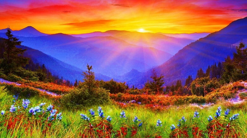 Изображение из сети