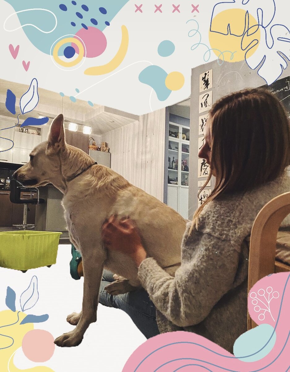 Графические элементы для иллюстрации взяты из сети Интернет