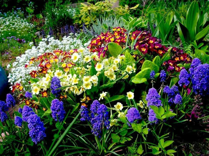 Добавьте описание