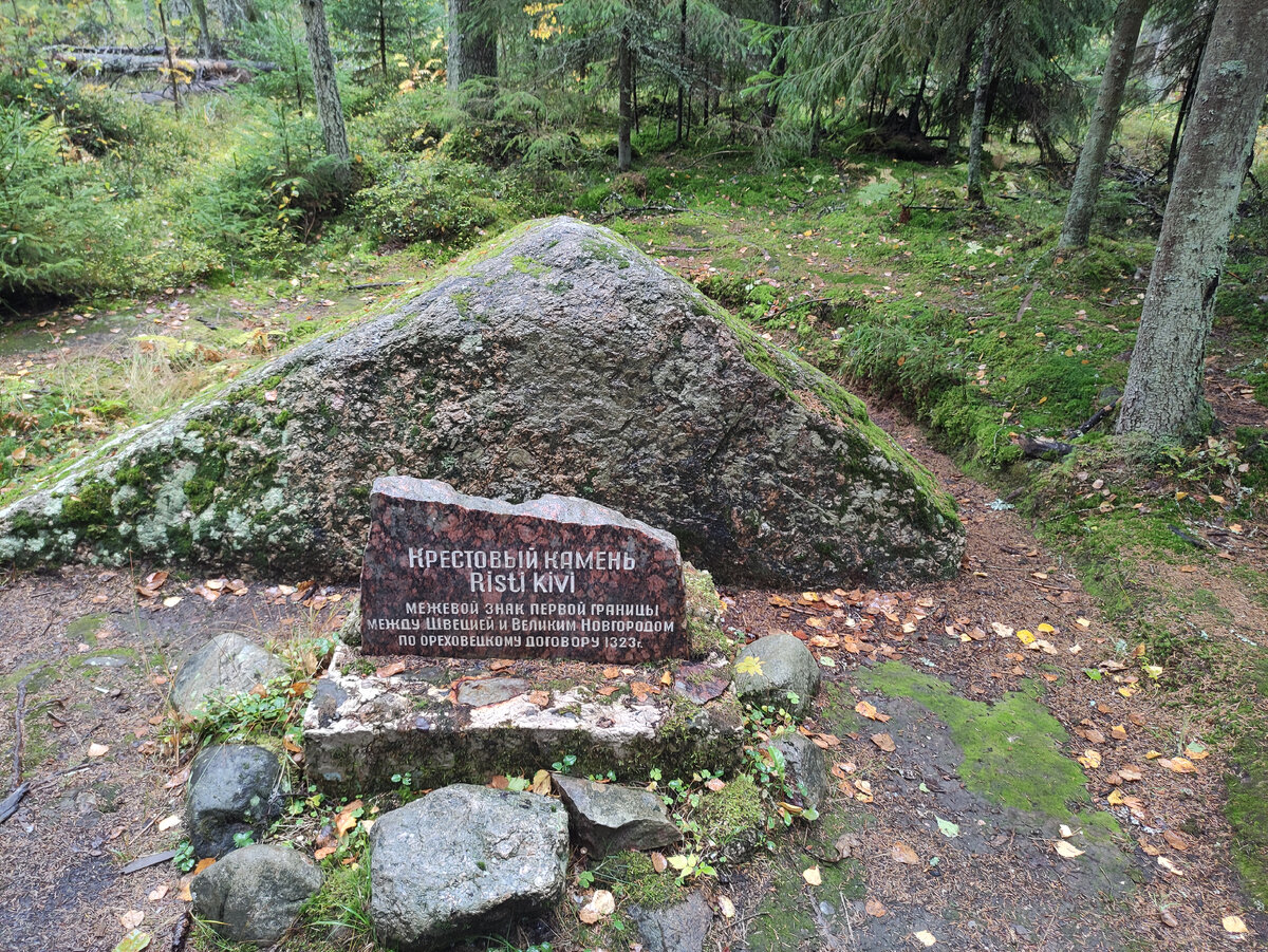 Камень, ради которого и нужно идти в лес.