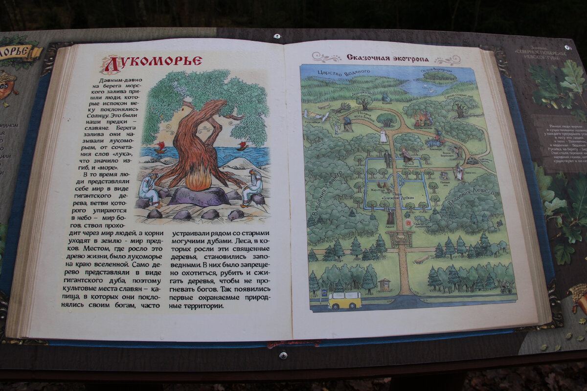 Экотропа лукоморье в лисьем
