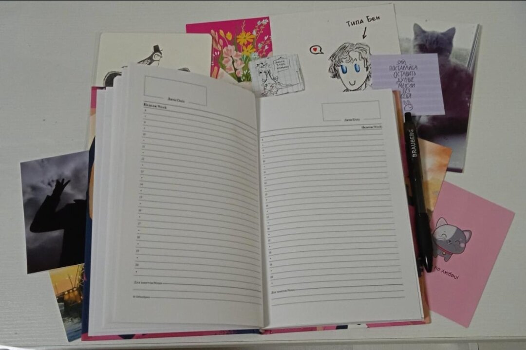 Ежедневники:)