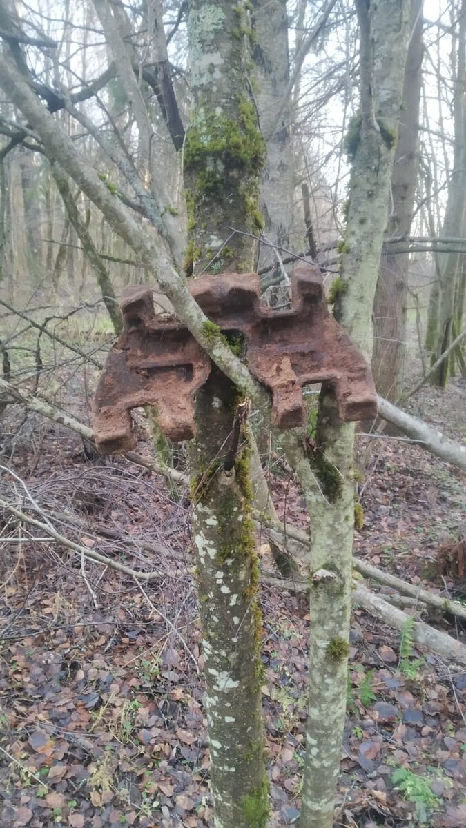 Кому гуслю?))))