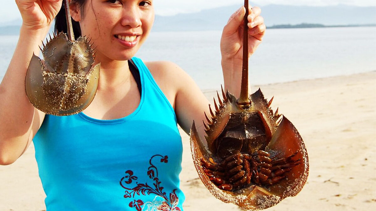 Источник: ianimal.ru