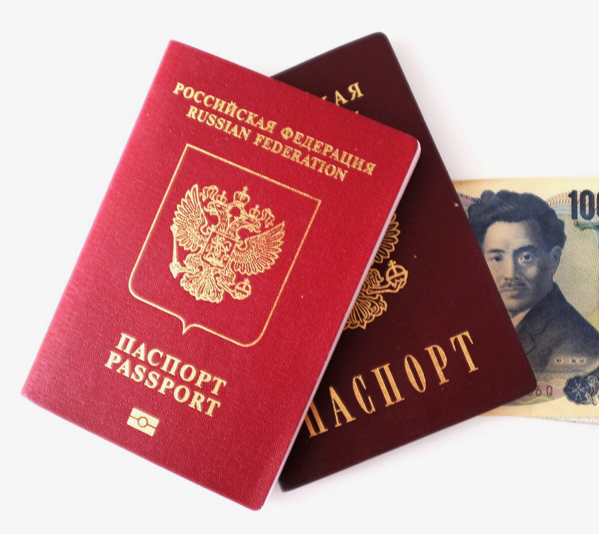 Фото взято из открытых источников.