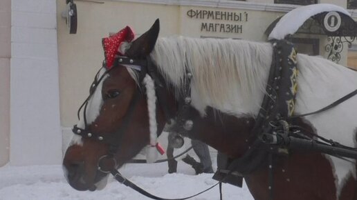 Где поесть в Коломне: 11 мест — Яндекс Карты