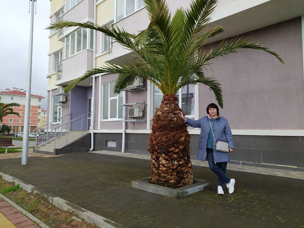 Фото автора отель Бархатные сезоны