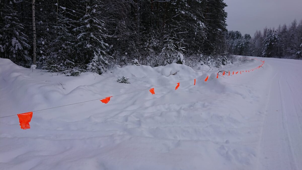 Охотники окружили логово