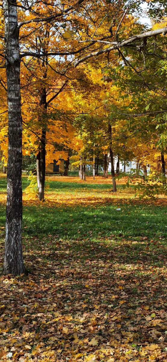 Улица Советская. У Дома Культуры.