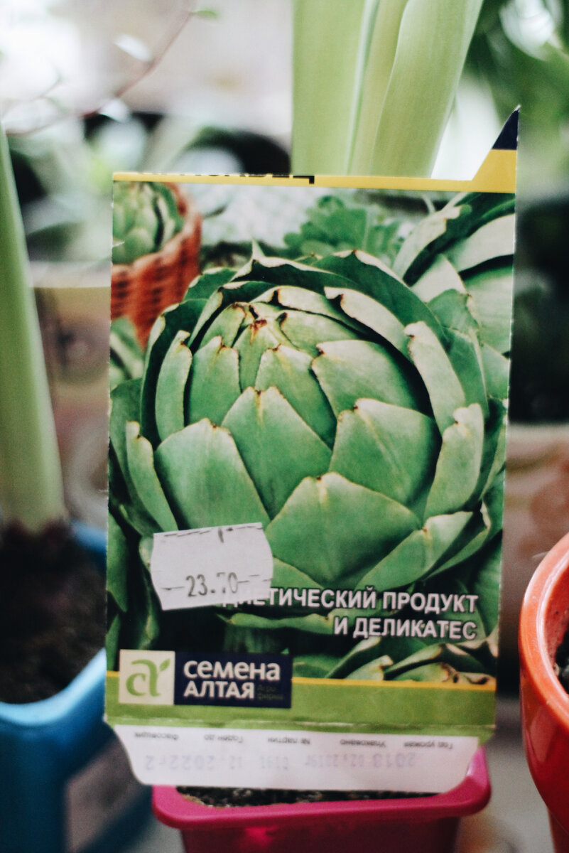 Вот такой пакетик семян