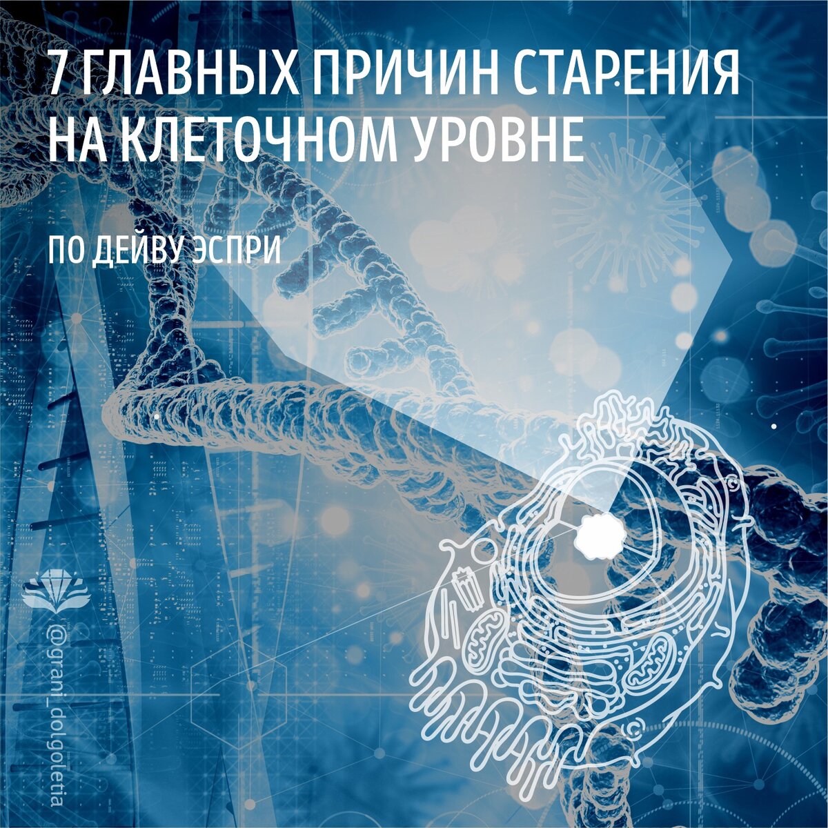 7 главных причинах старения на клеточном уровне по Дэйву Эспри