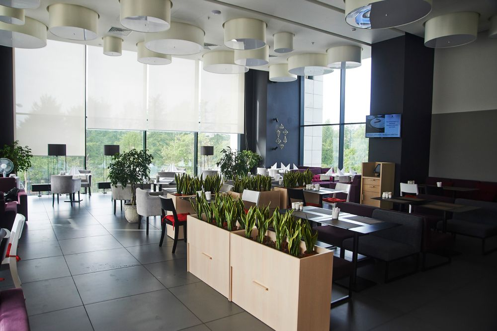 Рыбный Мурманск: топ-5 ресторанов с морепродуктами | Город Онлайн | Дзен