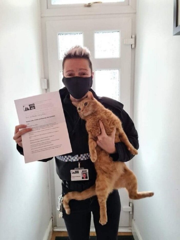 Наташа Макфи и кот Боб в полиции. Источник фото: https://jnews.uk/the-cat-bob-sneaks-into-the-police-station-to-steal-biscuits/