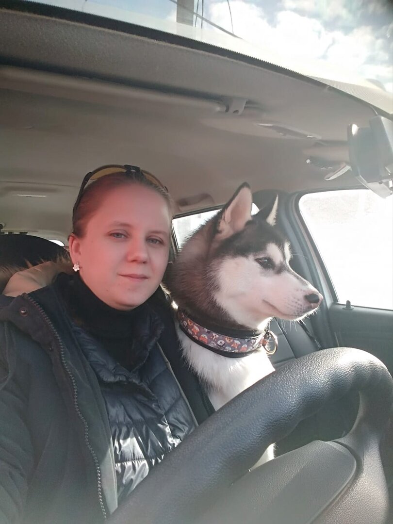 Цунами едет на выставку.
