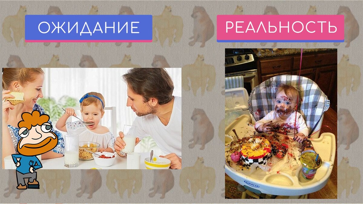Дача ожидание и реальность смешные картинки