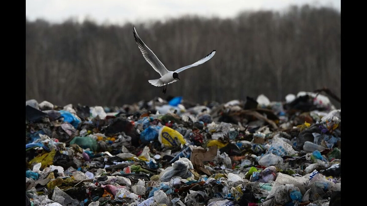 Фото: recycling-m.ru