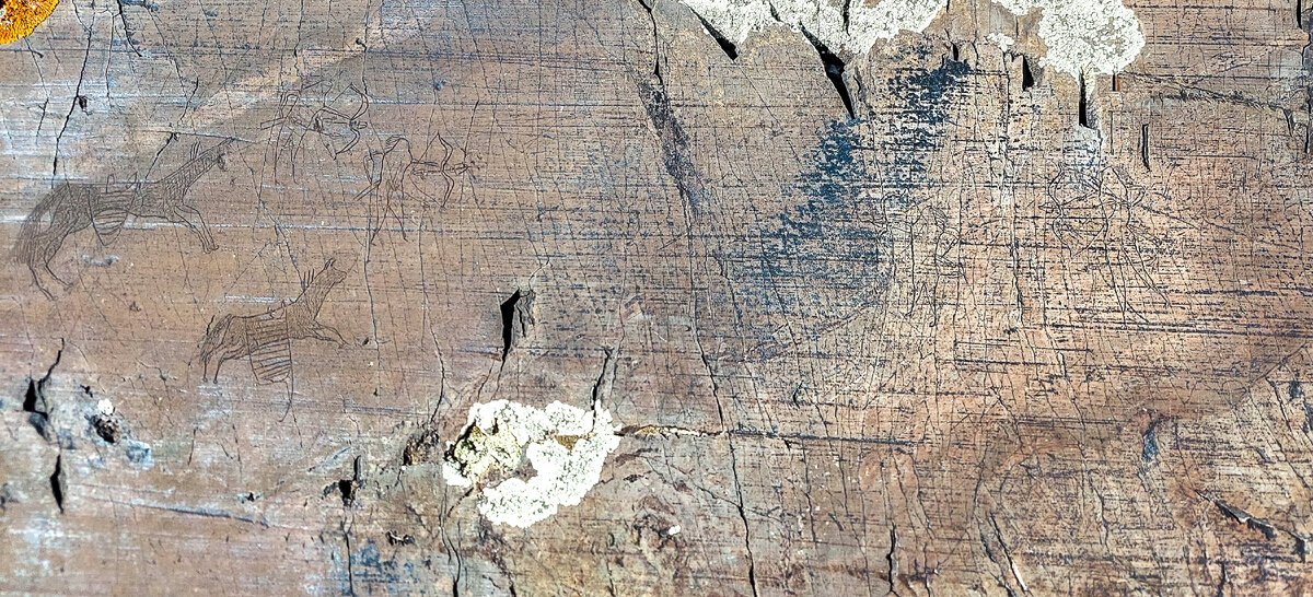 Листайте галерею