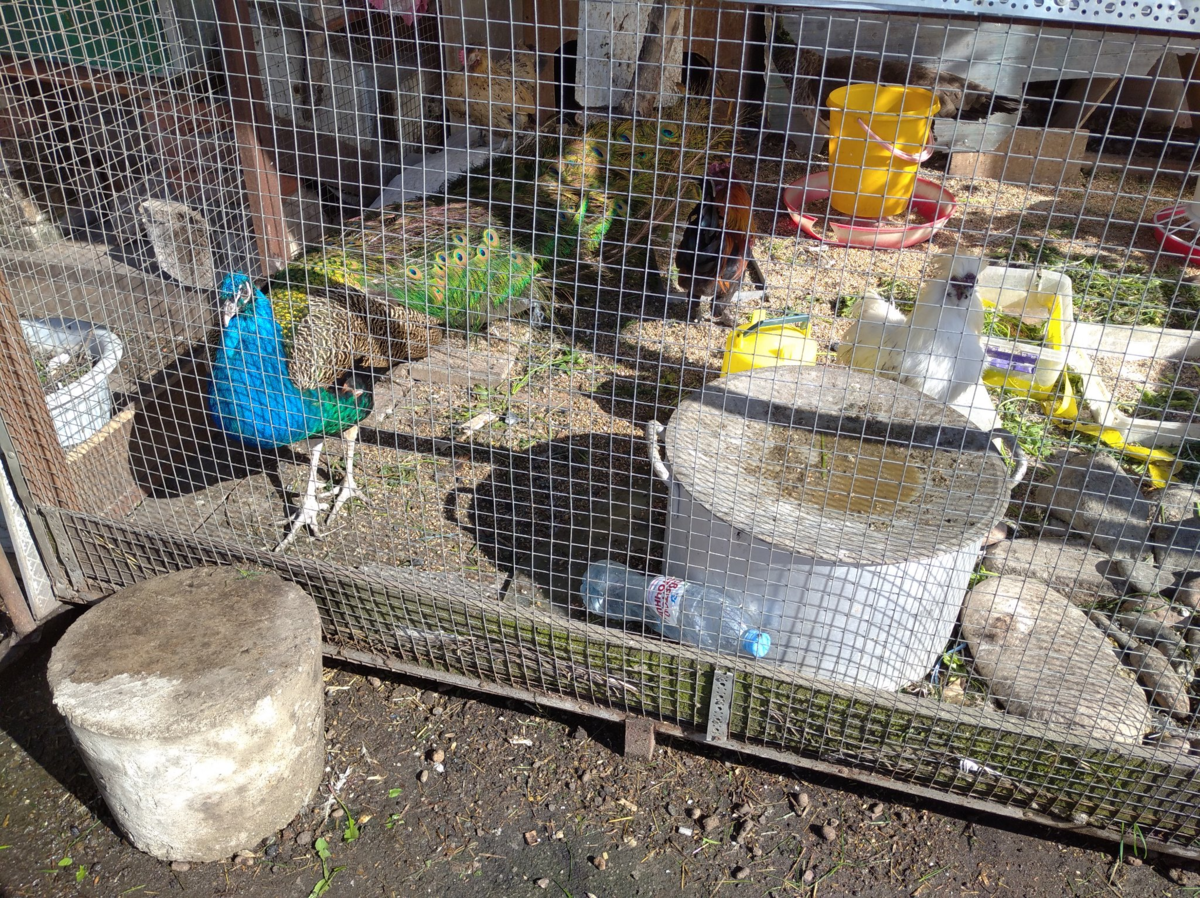 Живём в Курьяново. Рассказываю о жизни в самом заповедном районе Москвы