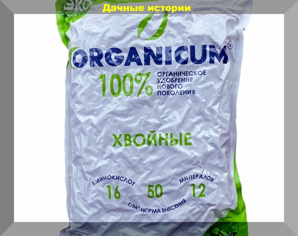 https://vk.com/photo-159774511_457253379