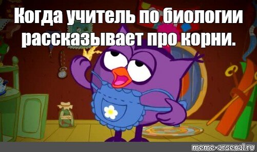 Смешарики мемы смешные с надписями до слез
