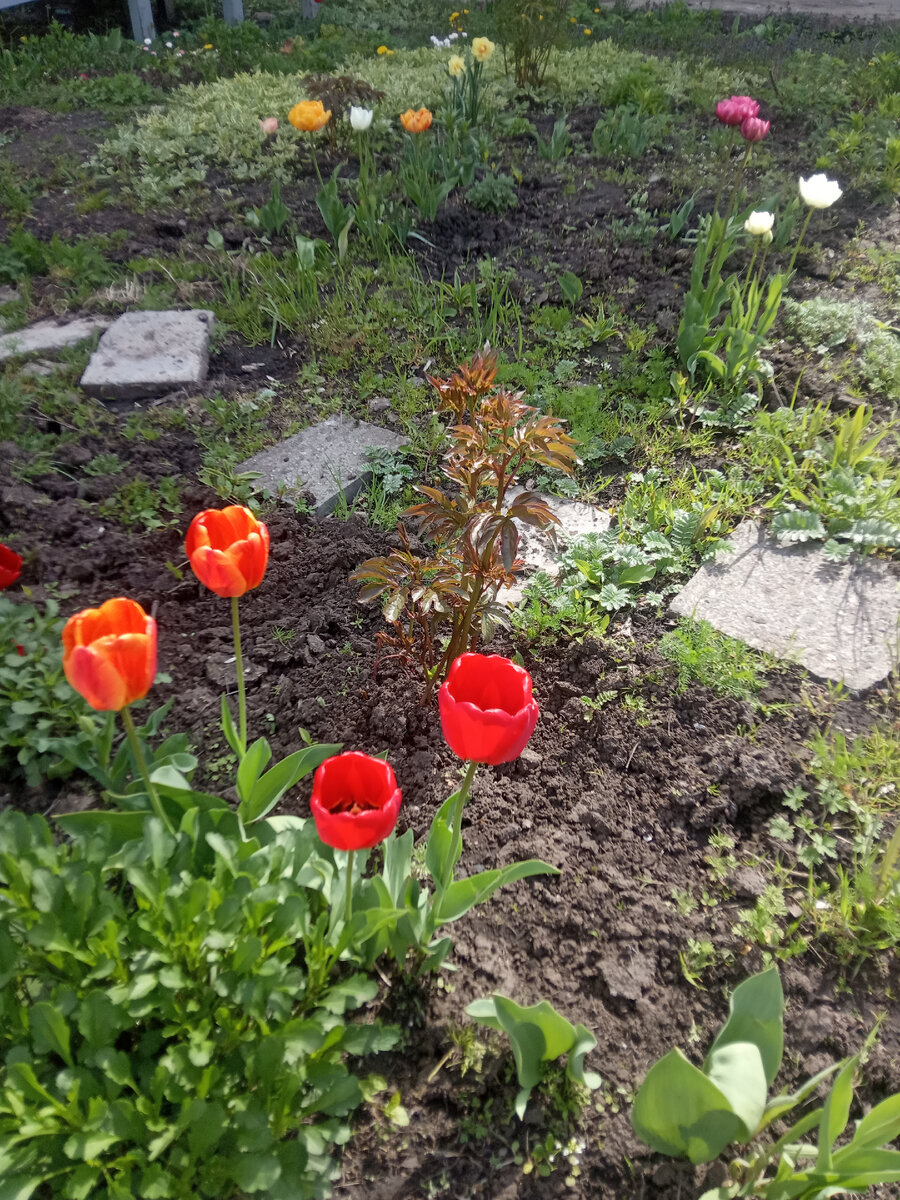 В нашем регионе давно такого не было. А тут прям подряд