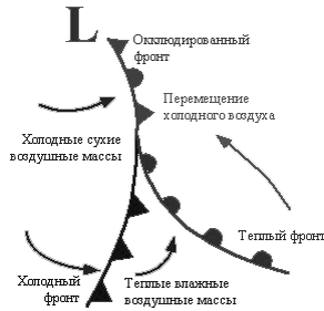 Фронт окклюзии