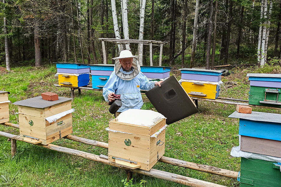 На территории пасеки «Благодать» находятся дом пасечника, собственный омшаник, место для отдыха и ряд других объектов благоустройства. Фото: Владимир Белкин/Octagon.Media