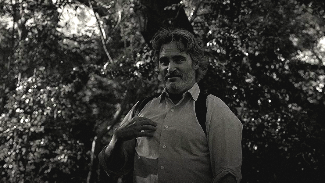 "Камон Камон"