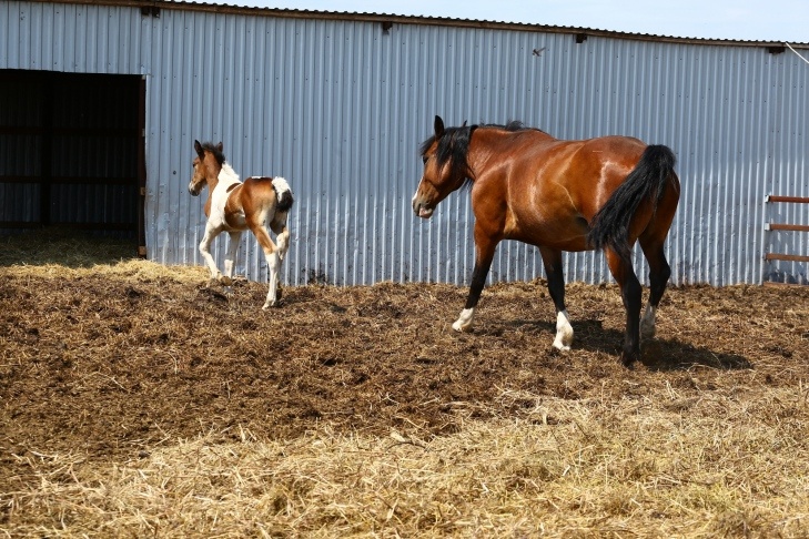    Фото из архива VN.ru