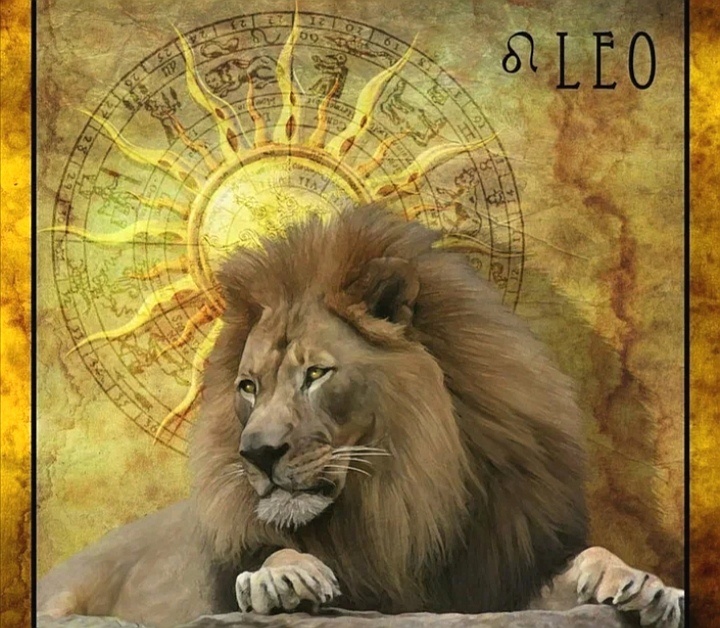 Львы в июле... 