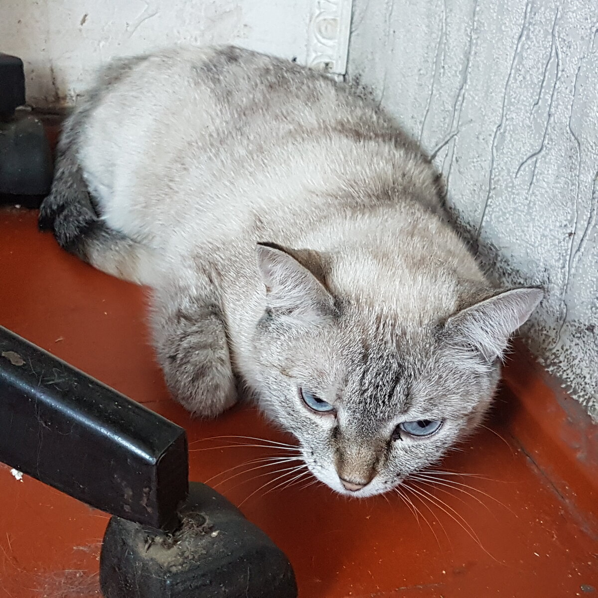 Анфиса на отдыхе