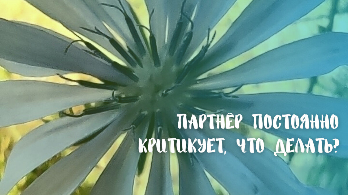 

К сожалению, в любовных отношениях нередки случаи, когда партнеры стараются причинить друг другу боль. Причиной этому чаще всего служит пережитое до этого унижение. Например, один предлагает что-то или высказывает свое мнение, а в ответ получает едкие замечания, язвительные высказывания, насмешки.