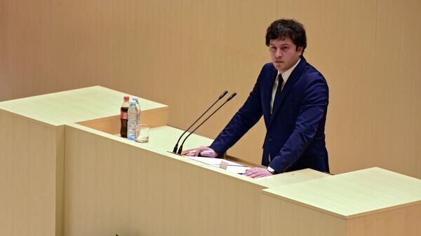    Председатель парламента Грузии Ираклий Кобахидзе© Sputnik / Александр Имедашвили