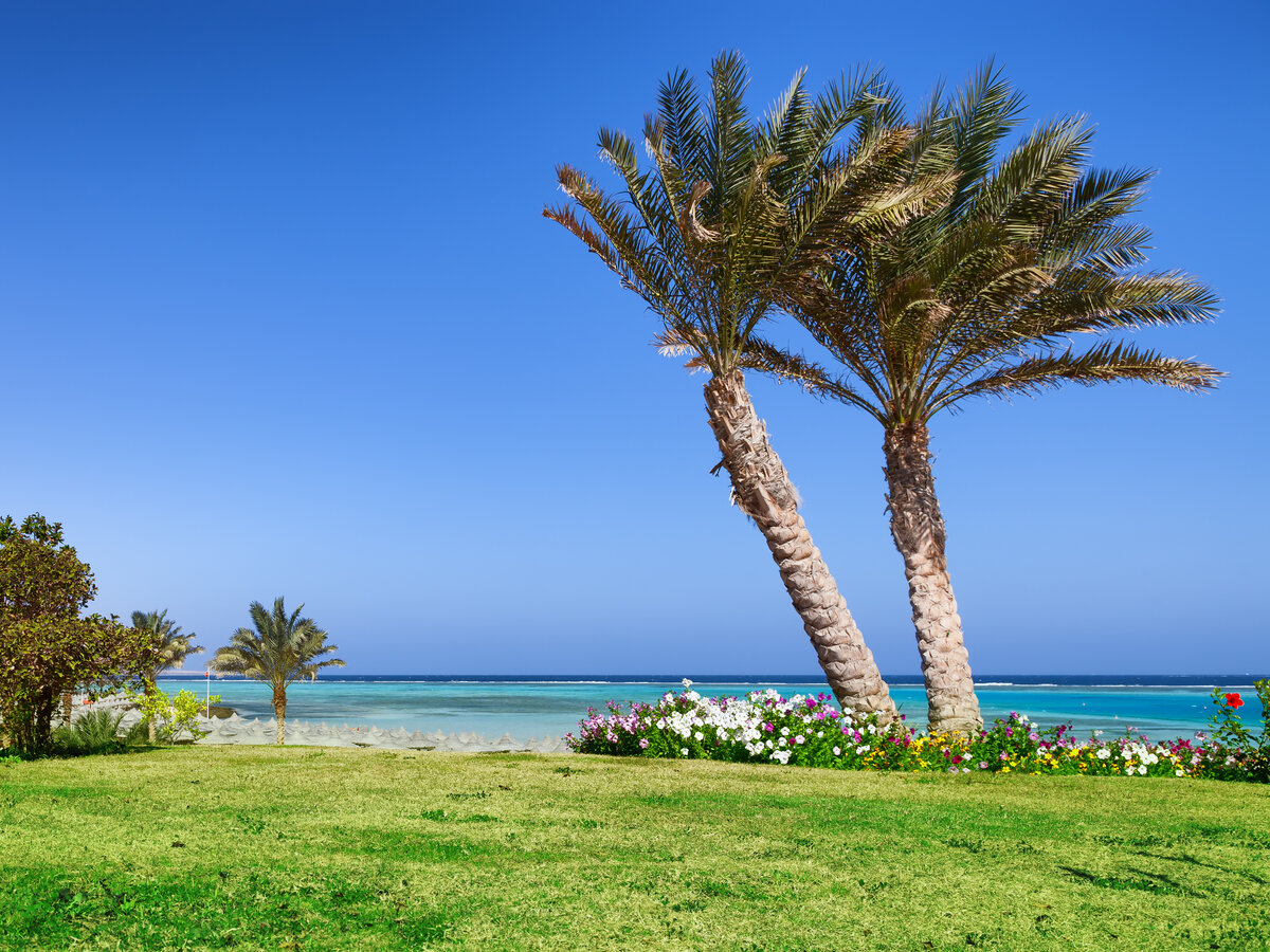Фото: shutterstock