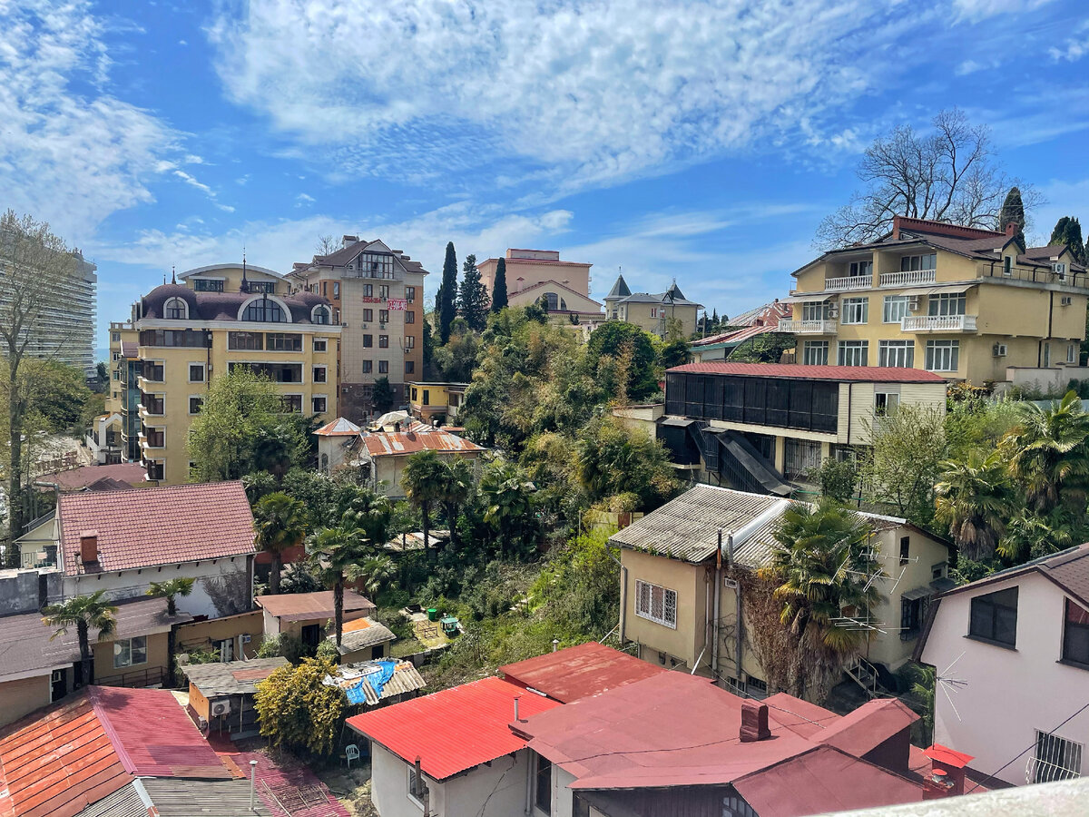 Вид с Курортного проспекта