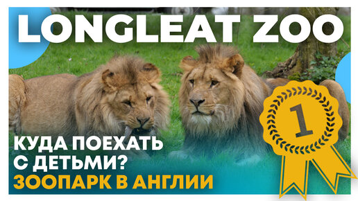 Зоопарк детьми в Англии - Отдых с семьей в Longleat Zoo - Прогулка на камеру 360