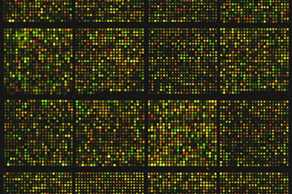     Новые методы генотерапии, точнее и безопаснее, чем CRISPR