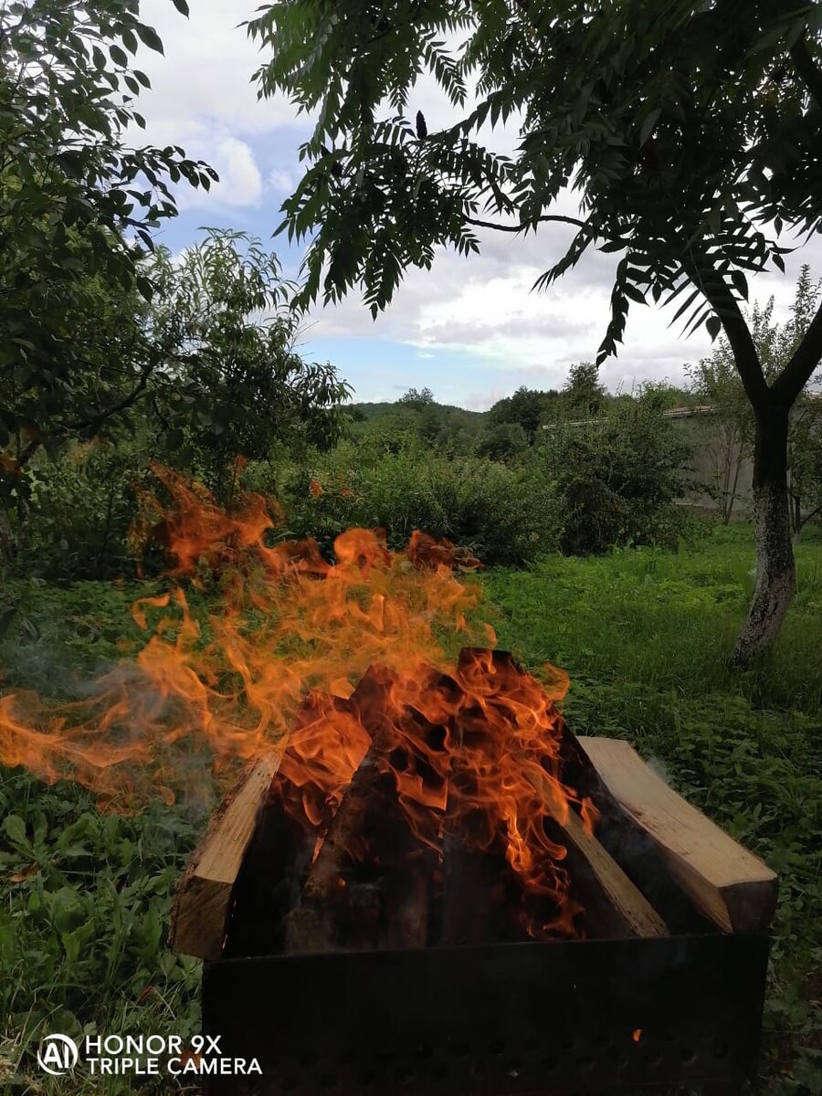 Наш предшашлычный костер)))