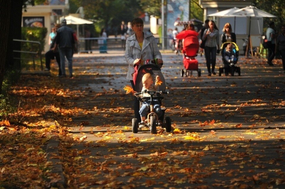    В Новосибирске в 2022 году бабье лето порадует сибиряков 30-градусной жарой. Евгения ГУСЕВА