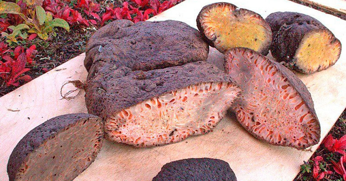 Выглядит это примерно так