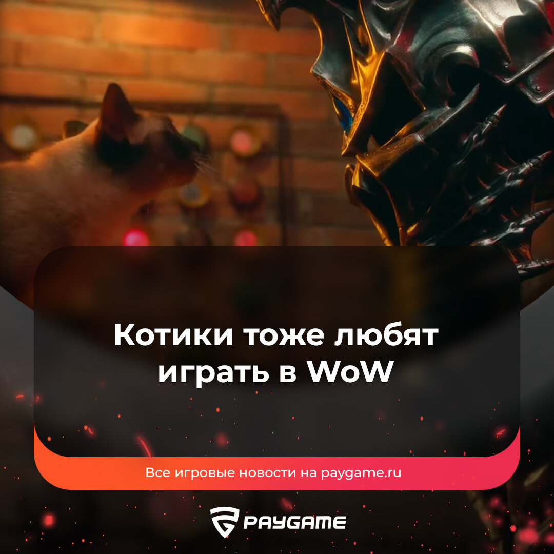 Оригинальная реклама WoW: WotLK Classic с котиками🐾 | PayGame | Дзен