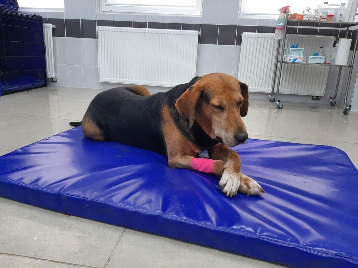 Тихон на медобследовании.