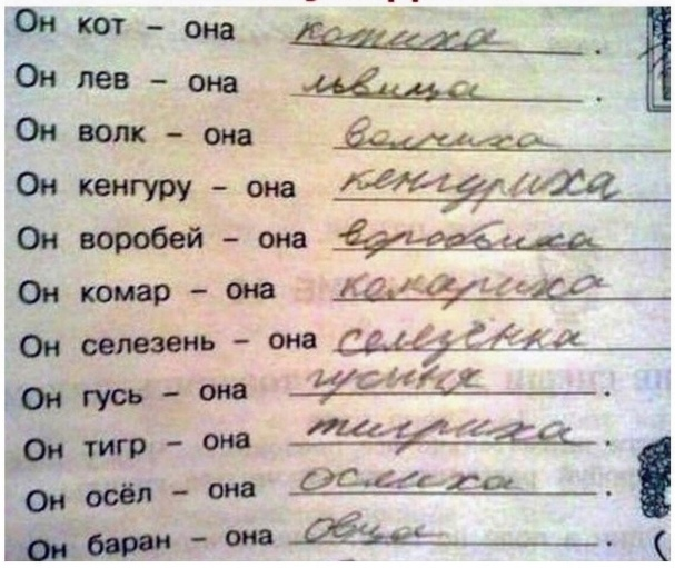 Источник фото: ВК