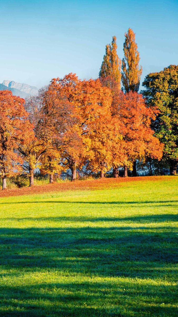 Золотая осень. Прочь депрессия! 
