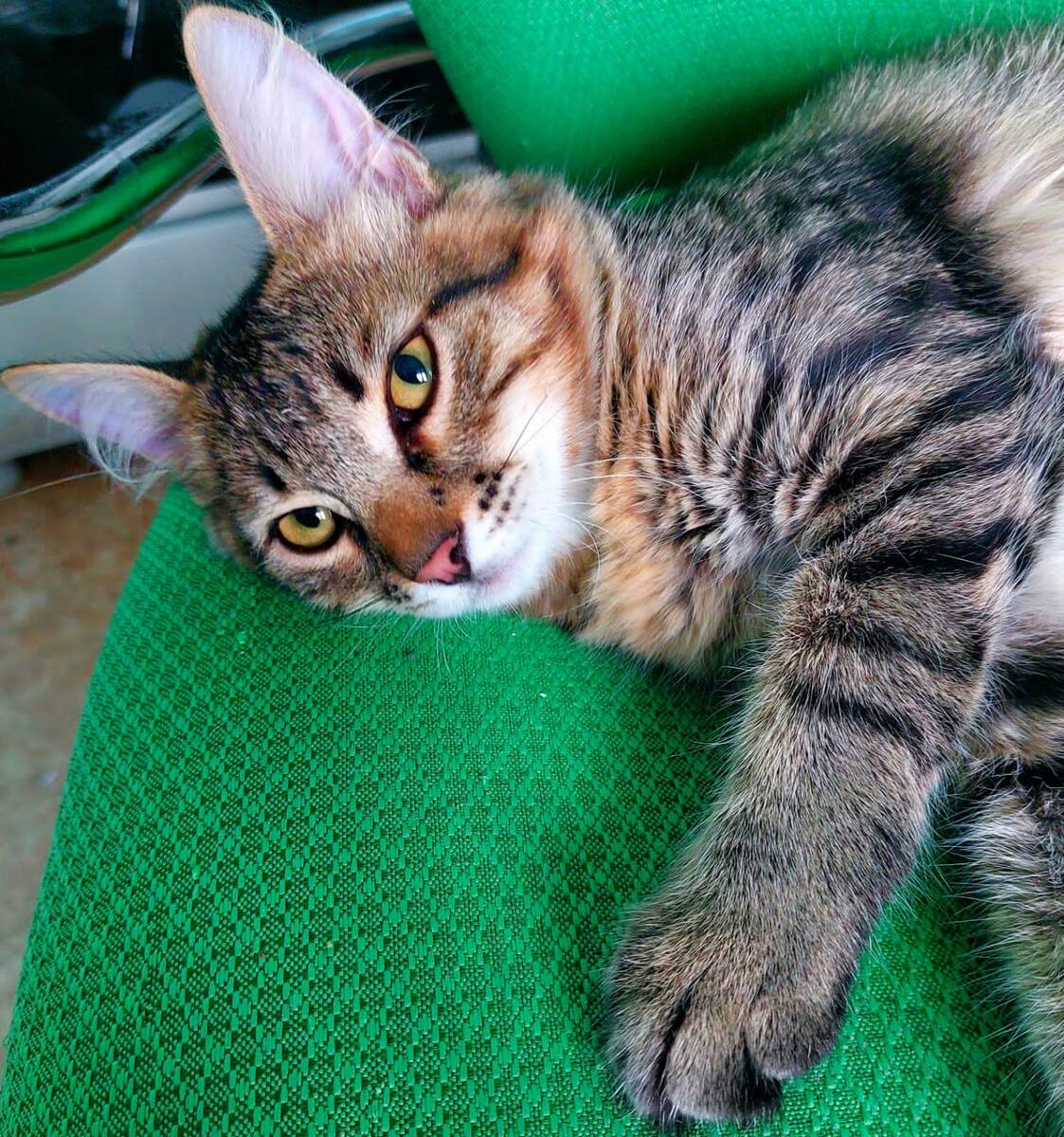 Разве не чудесный малыш?!