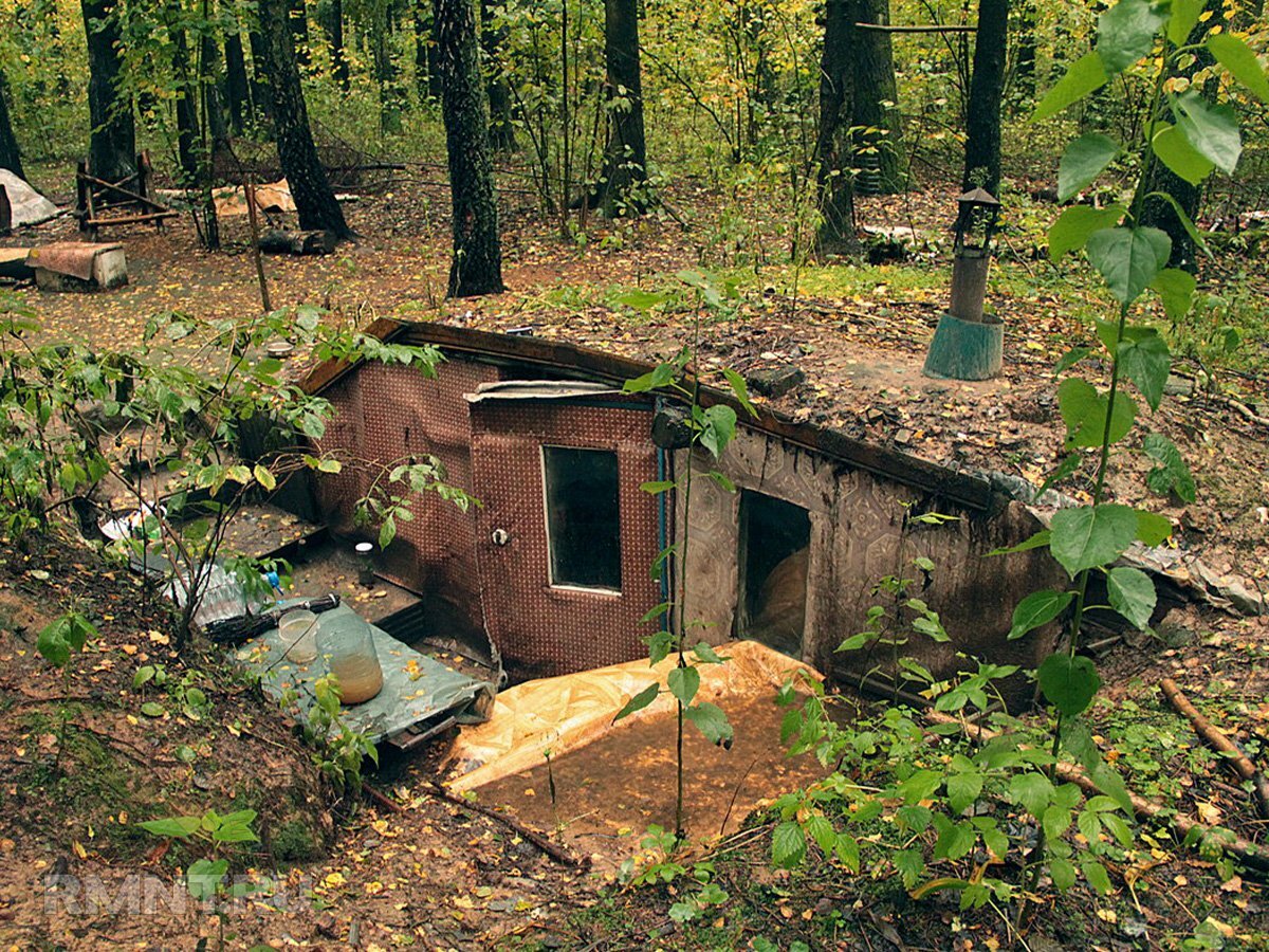 дом отшельника в лесу в россии. ярославское шоссе отшельник в землянке. мужчина живет в лесу. дом отшельника в лесу. жить в землянке.