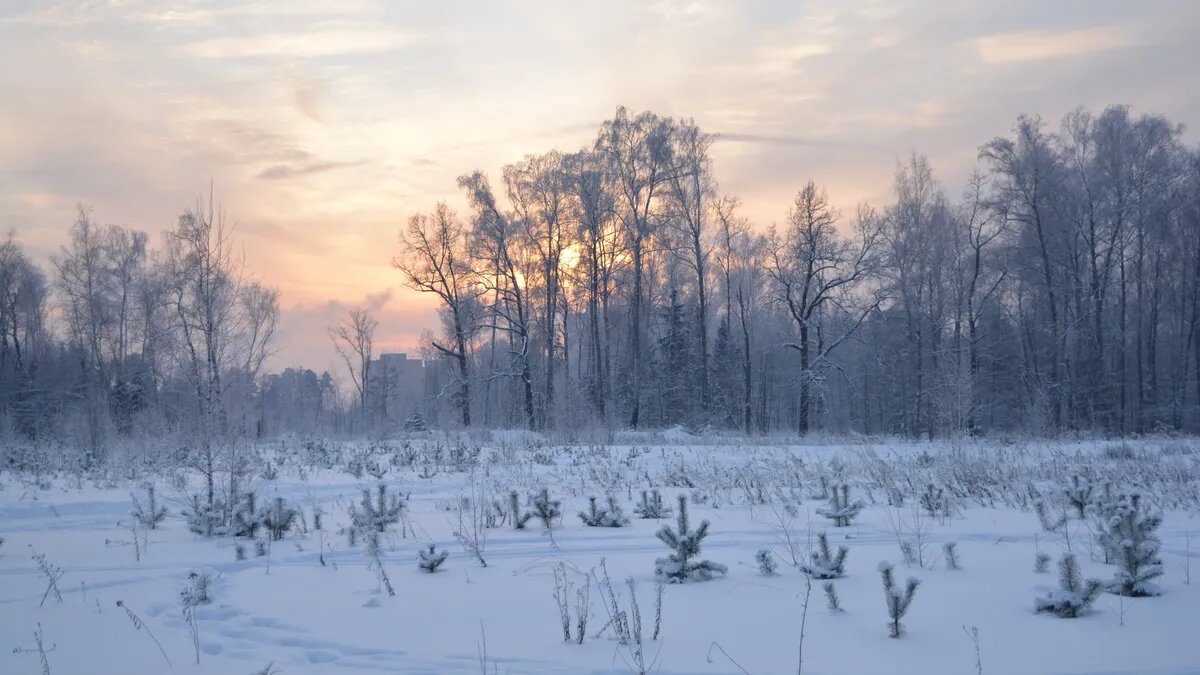 До наступления Нового года остается не так много времени. Фото: Pxfuel.com