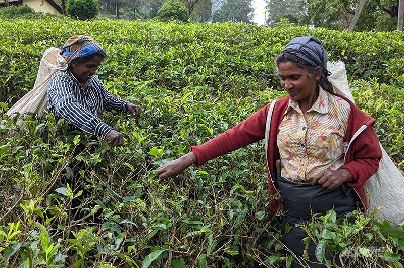    Фото:  АиФ/ Георгий Зотов