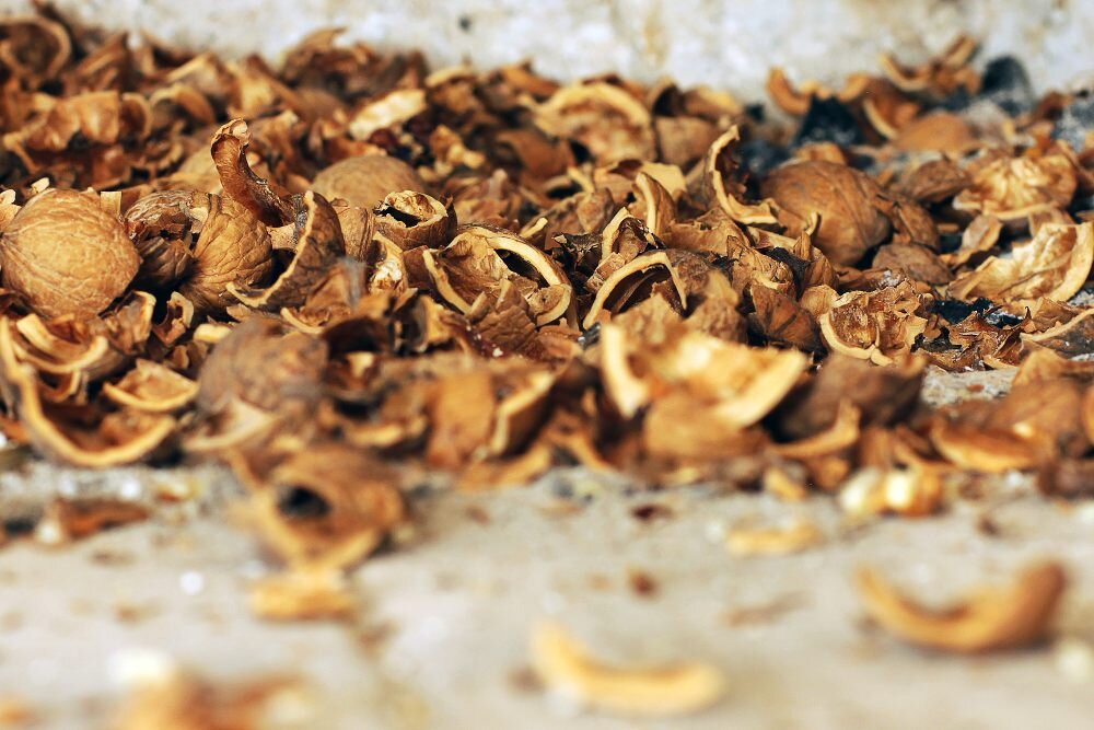 мульча из грецкого ореха. мульчирование ореховой скорлупой. мульча грецкого ореха. орех грецкий трофей. мульча ореховая скорлупа.