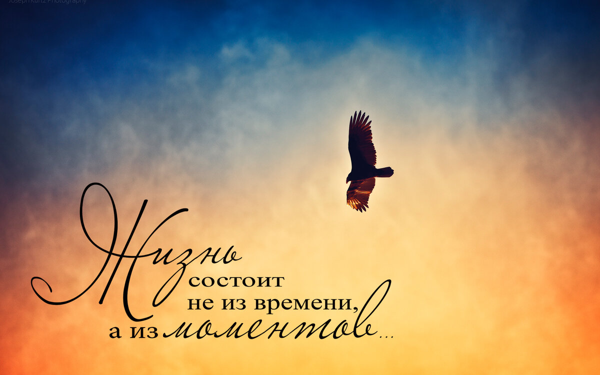 Фото взято из интернета.